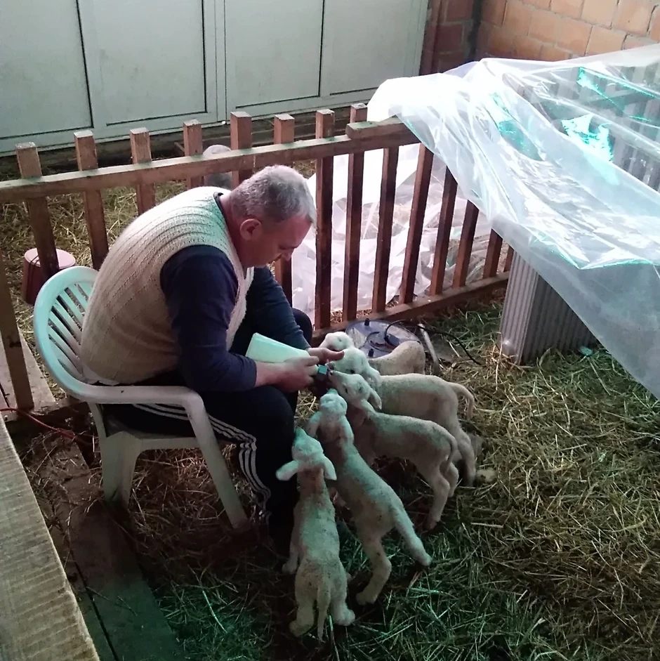 Milorad sa svojim omiljenim ljubimcima