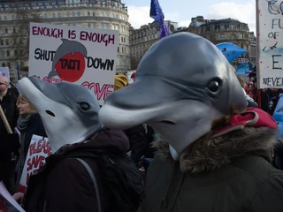 Protest przeciwko delfinarium w Wielkiej Brytanii