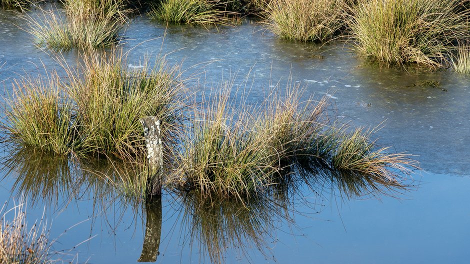 Powód tak wysokiej ilości CO2 wiąże się z działalnością człowieka