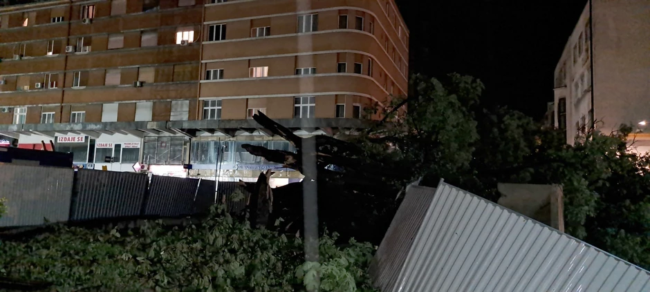 Srušen spomenik prirode