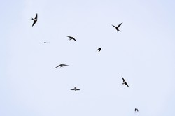 Nie tylko wygrana opozycji. Trzy krzepiące obserwacje z wyborów 2023 [OPINIA]