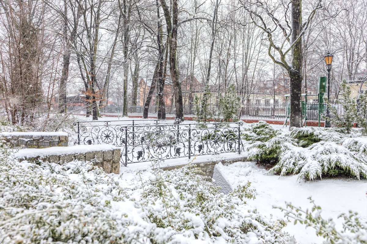 Wiadomo, kiedy w Polsce możemy spodziewać się pierwszego śniegu