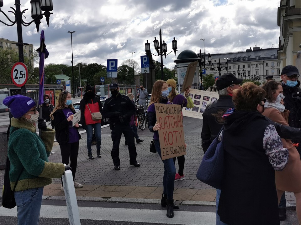 Protest wolontariuszy ze schroniska "Na Paluchu"