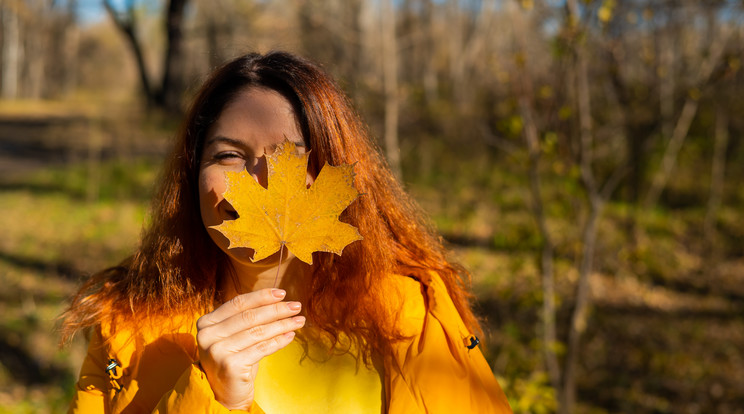 Kellemes őszi idő járható / Fotó: Northfoto