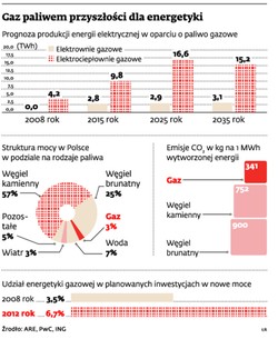 Gaz - paliwo przyszłości dla energetyki