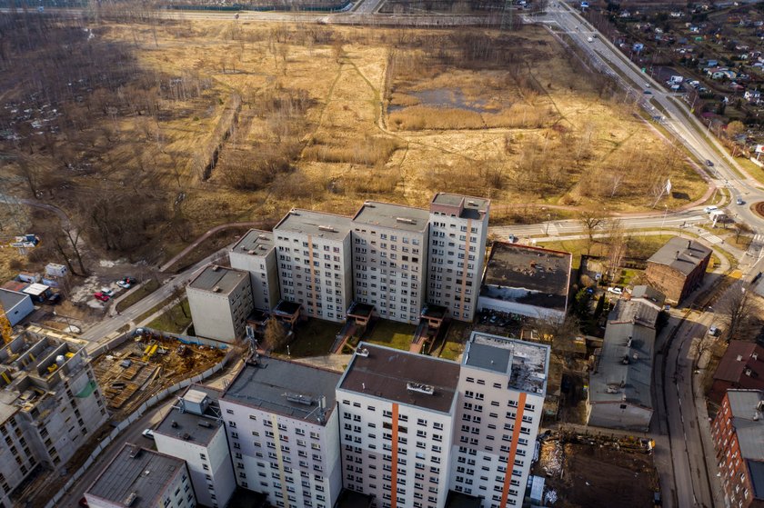 Za 7 mln zł powstanie miejski park między Bogucicami a Dąbrówką Małą w Katowicach