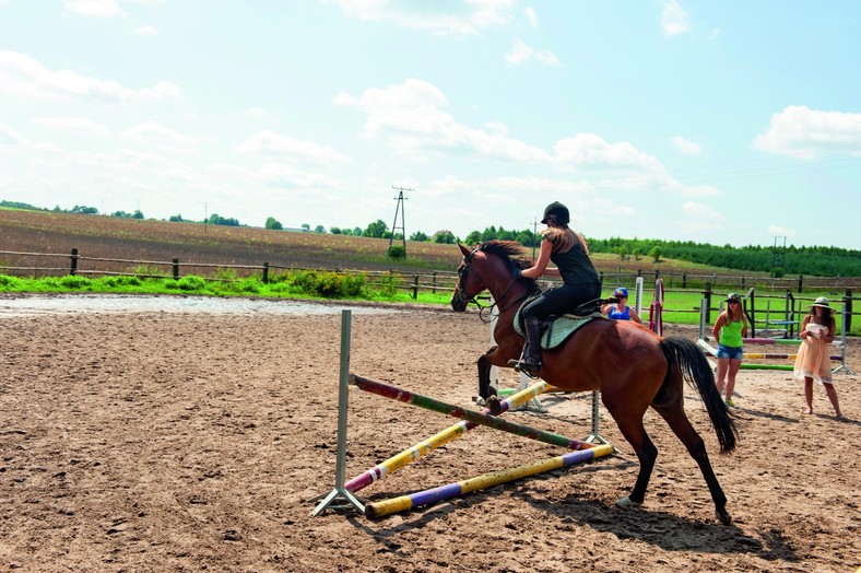 Galop na łące, kłus leśnymi przecinkami