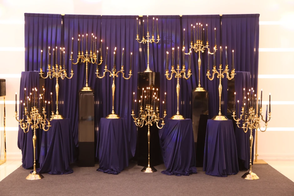 Punoletstvo sina Borka Radivojevića