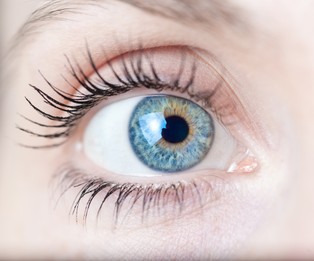 Co naprawdę widzi nasze oko? Polacy chcą podbić rynek rewolucyjnym wynalazkiem?