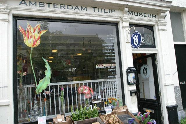Galeria Holandia - Amsterdam dla piwoszy, obrazek 16