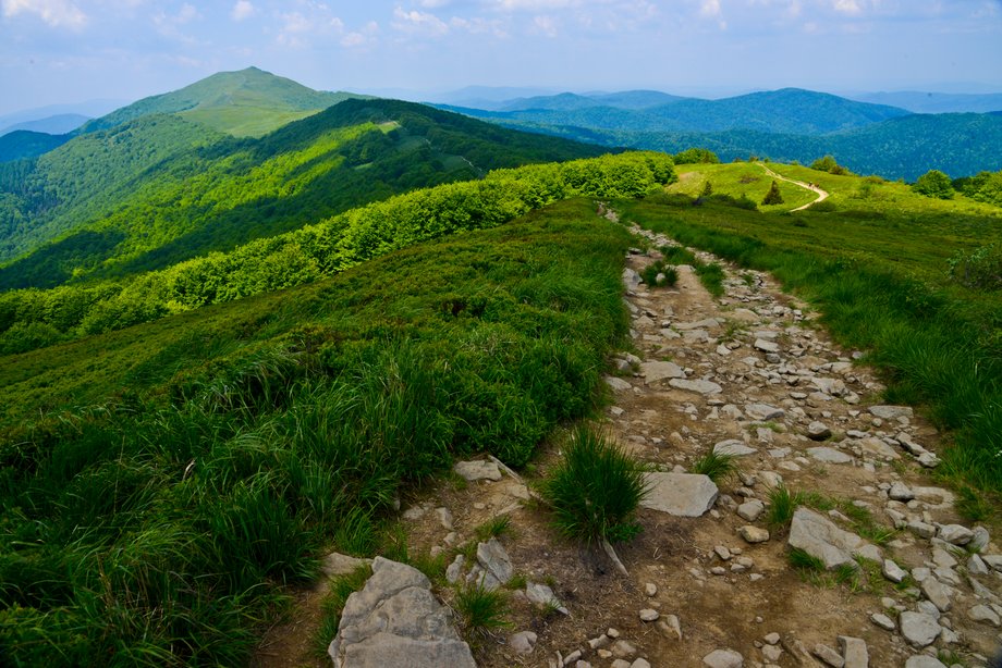 Bieszczady to jeden z najbardziej dzikich i tajemniczych zakątków Polski