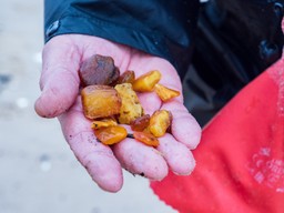 "aż trudno uwierzyć". bałtyckie plaże pełne bursztynu. spacerowicze zb