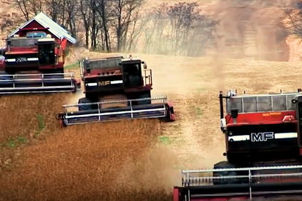 Dlaczego dieta bezglutenowa może nie być dla ciebie dobra