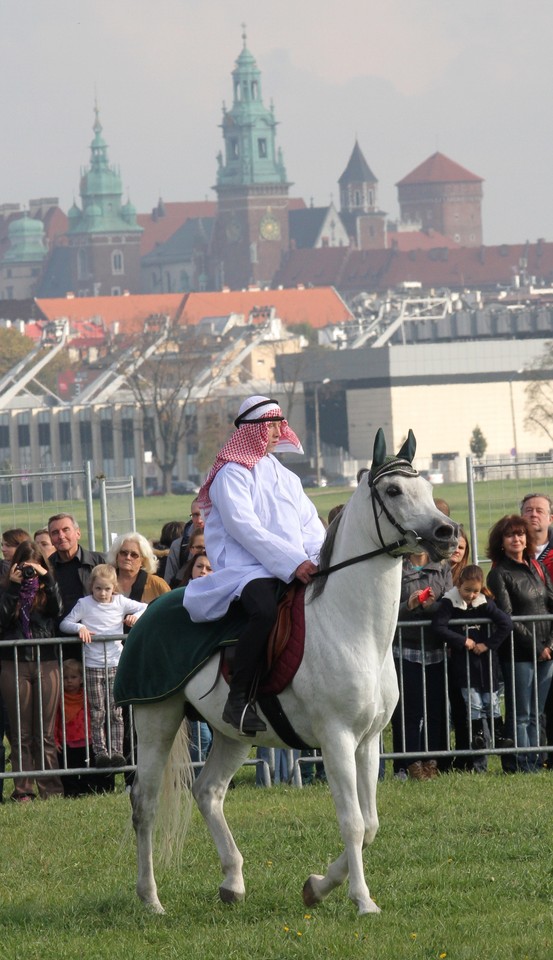 KRAKÓW MAŁOPOLSKIE ŚWIĘTO KONIA