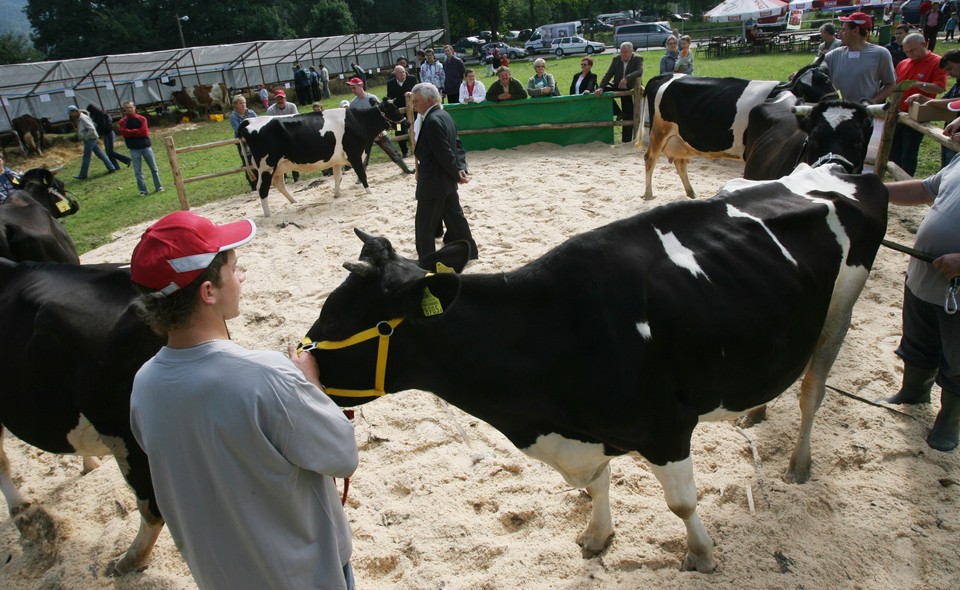 NAWOJOWA WYSTAWA ROLNICZA AGROPROMOCJA 2010