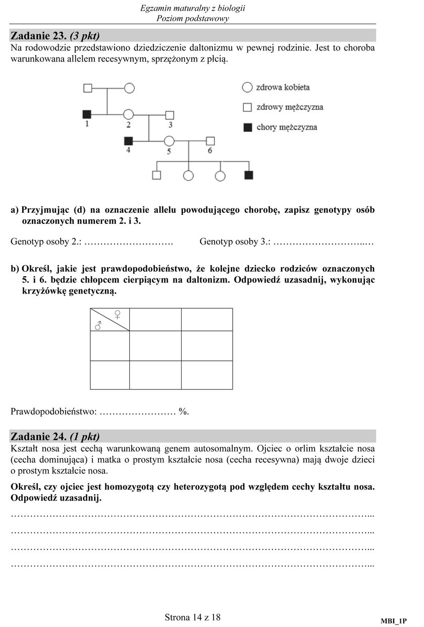 Matura 2017 biologia. Arkusze maturalne CKE