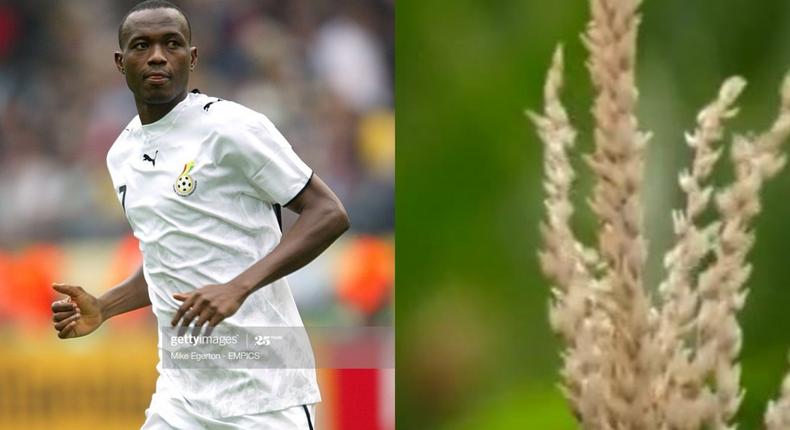 Shilla Illiasu, a maize farmer 