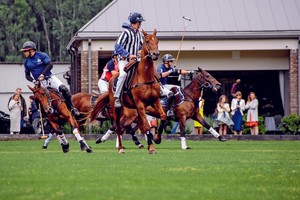 Polo, najstarszy na świecie sport zespołowy dla zamożnych. W Polsce zdobywa coraz większy rozgłos