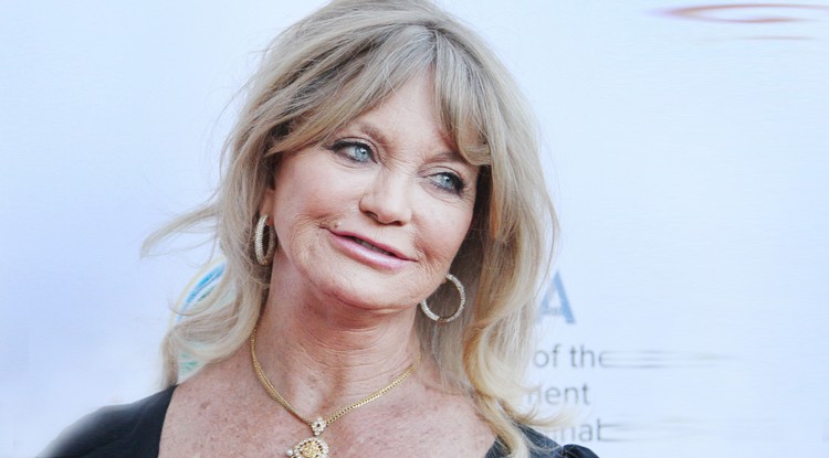 Goldie Hawn nem takargatja. Fotó: Northfoto