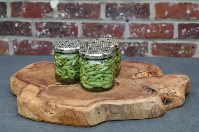 Ukiseljeni pupoljci sremuša