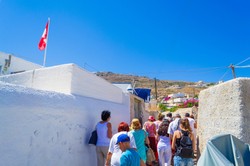 Trzęsienie ziemi to nie jedyny problem Santorini. Służby walczą z przykrą plagą