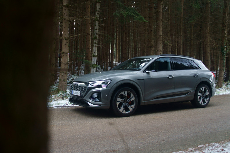 6. miejsce: Audi Q8 e-tron - 117 egz.