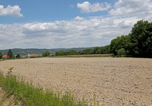 Najskuplji kvadrat poljoprivrednog zemljišta prometovan je u katastarskoj opštini Kać.