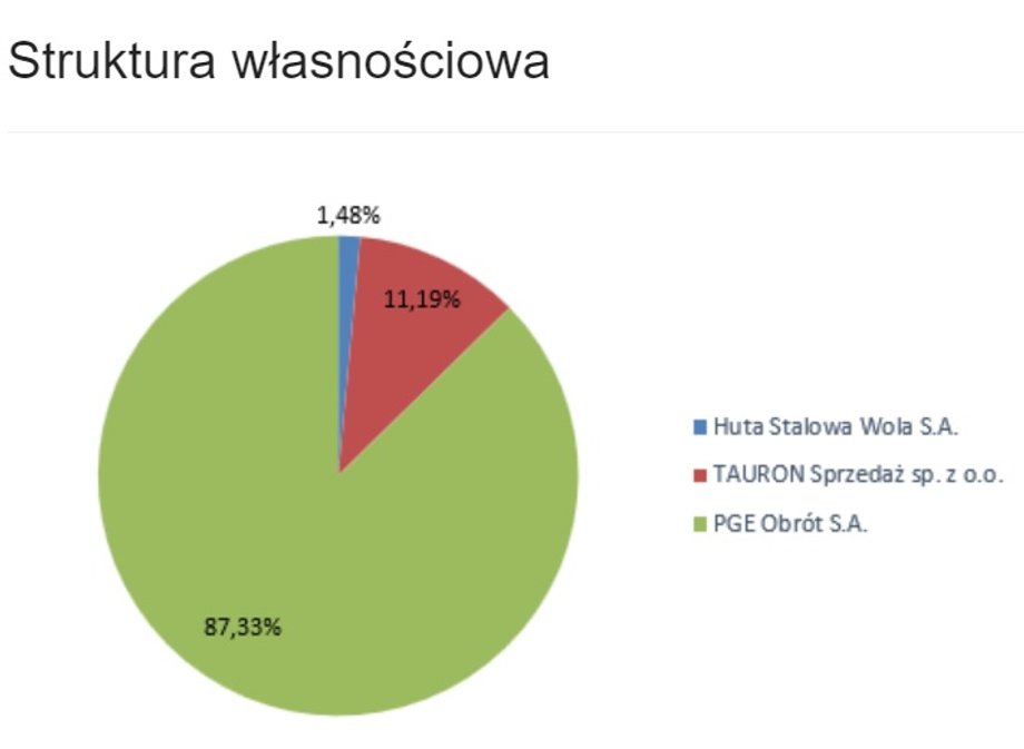 Struktura własnościowa spółki Enesta. 