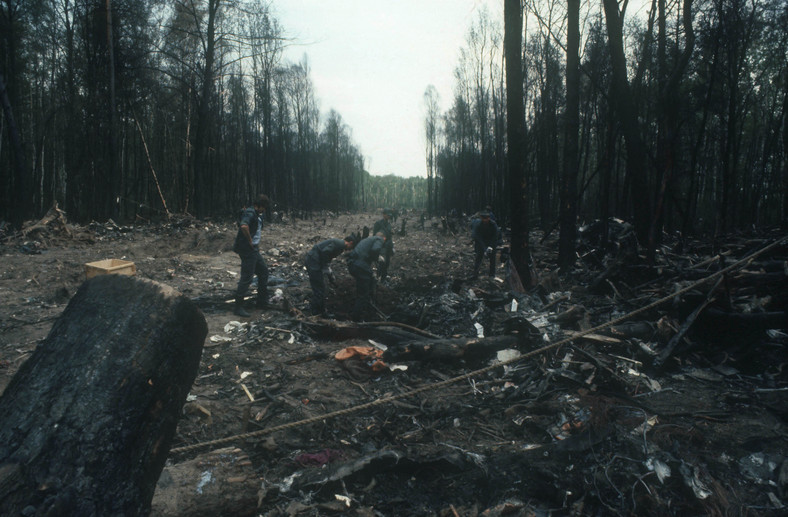 Samolot, uderzając w ziemię, ściął wiele drzew