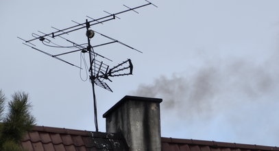 Od 1 stycznia wchodzi ważny zakaz. Jeśli się nie dostosowałeś, możesz zapłacić dużą karę