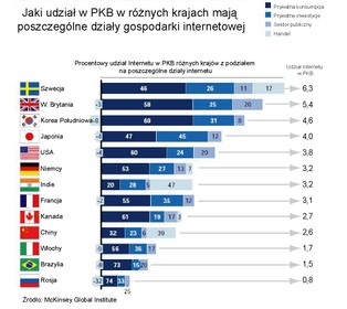 Internet to siła. Gospodarka wirtualna sprzyja krajom rozwiniętym