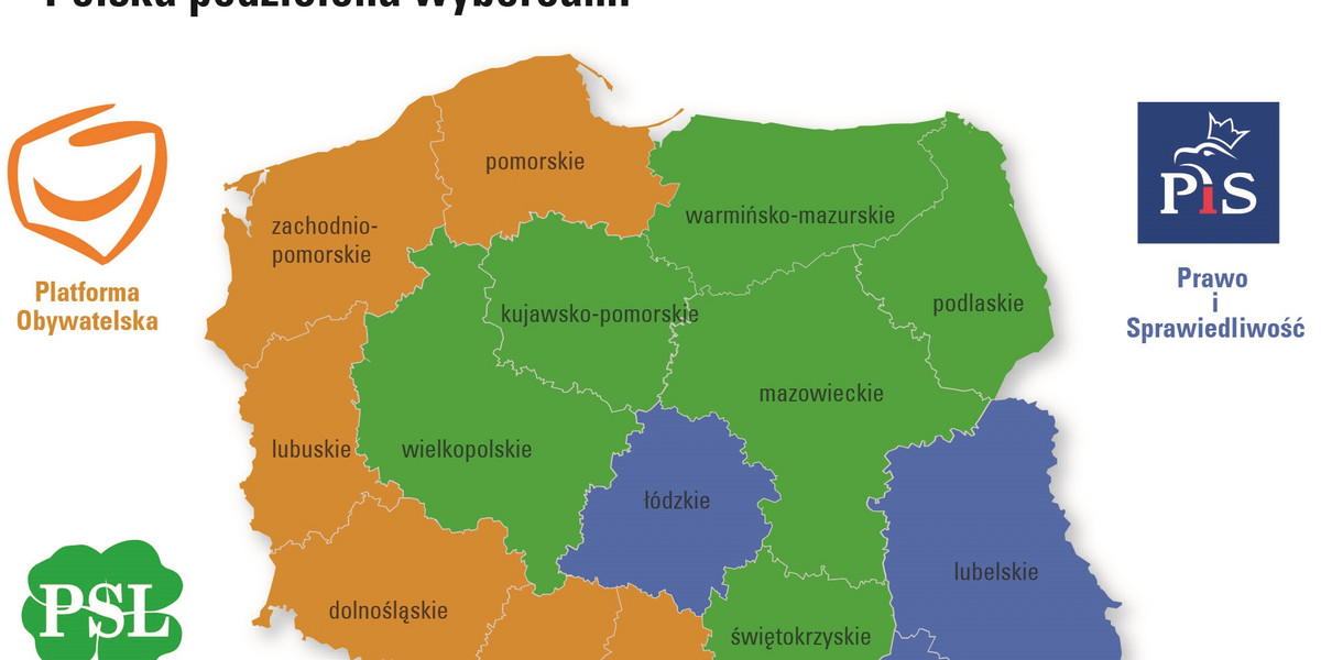 Polska wyborcy.