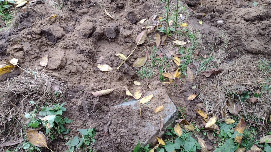 Kuća Džolićevog sina, Moravac