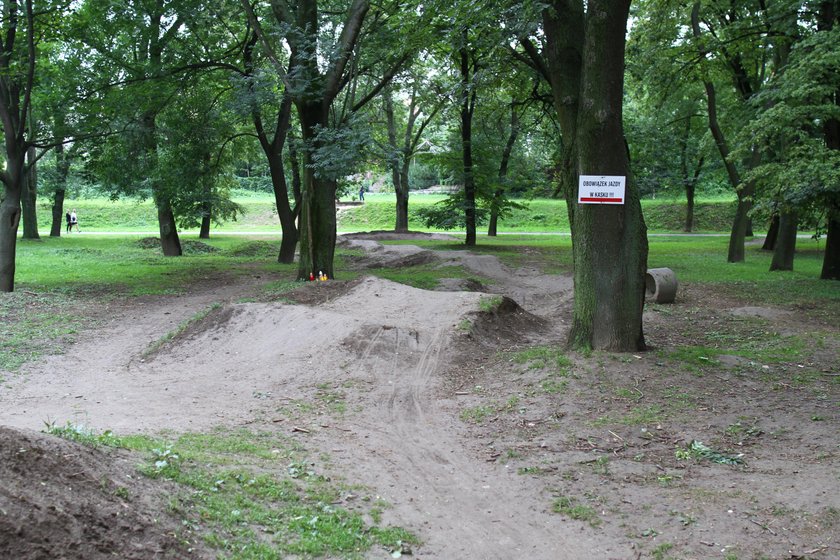 Park Olszynki