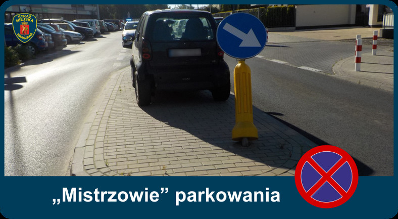 „Mistrzowie” parkowania w Warszawie