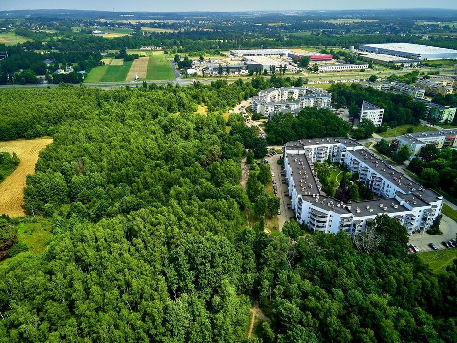 Na 60 ha, między ul. Rokicińską, Maćka z Bogdańca, Przybyszewskiego i Augustów powstanie nowy łódzki park