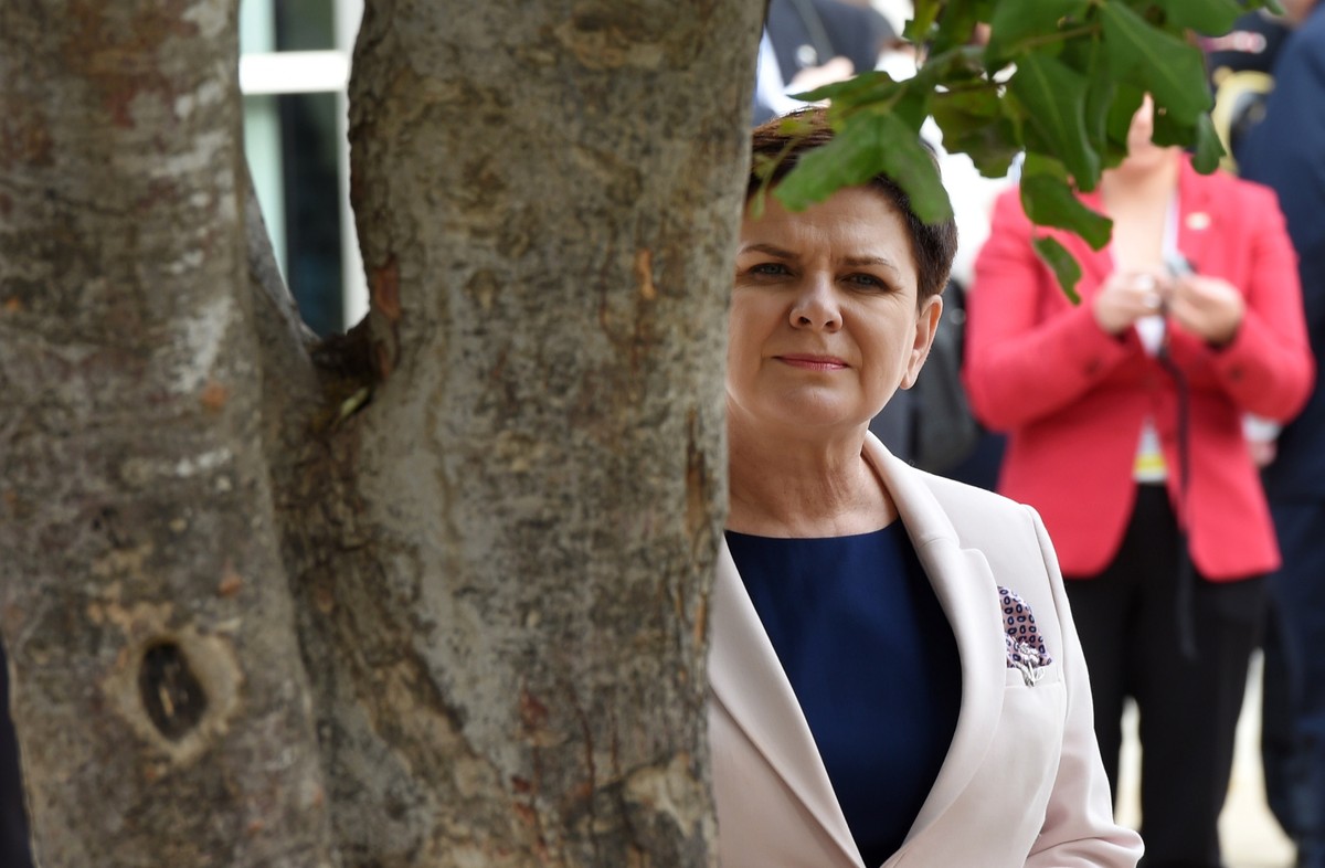 Beata Szydło w Instytucie Yad Vashem, w Ogrodzie Sprawiedliwych Wśród Narodów Świata przy drzewie poświęconym Irenie Sendlerowej