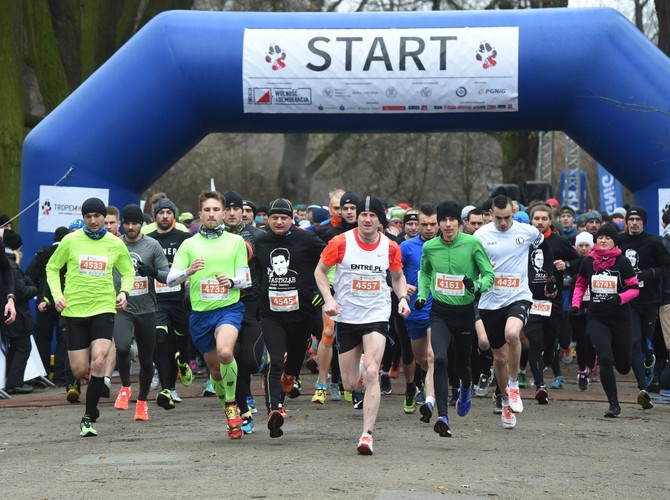 W warszawskim Parku Skaryszewskim odbył się V Bieg Tropem Wilczym