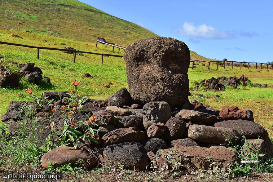 Szczątki posągu Moai, Rapa Nui