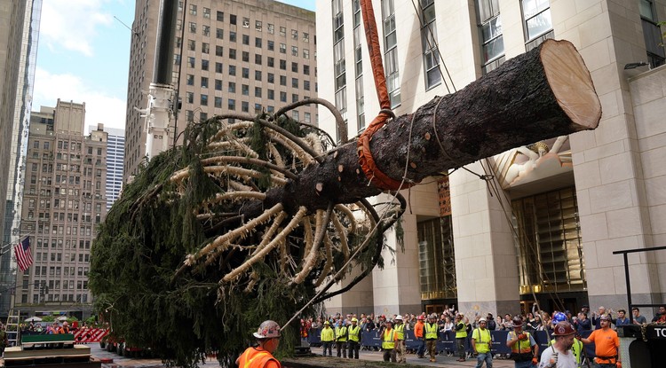 New York hatalmas karácsonyfája a Rockefeller Centernél