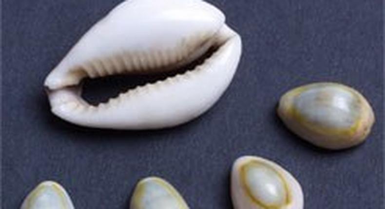 Cowries