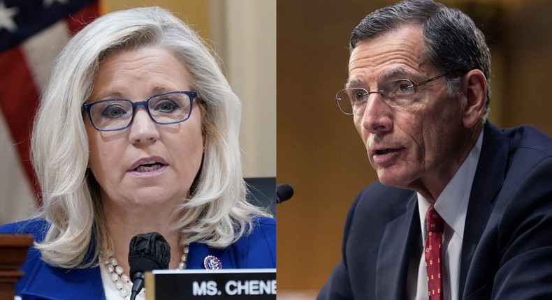 GOP Rep. Liz Cheney and GOP Sen. John Barrasso.