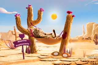 9 na 10 opiekunów kotów w Polsce uważa, że ich kot ma unikalną osobowość – sprawdź, co czyni pupila szczęśliwym