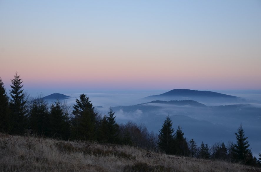 Beskid Wyspowy. Polana Skalne pod Jasieniem. Widok na "beskidzkie wyspy".