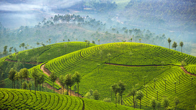 Naturalne piękno Sri Lanki