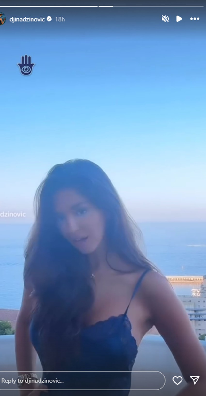 Đina Džinović, objava