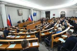 Nowa ustawa o zawodzie psychologa. Senat zaproponował poprawki