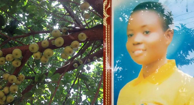 Girl who planted apple tree in Ashanti region is dead; can’t enjoy “the fruit of her labour