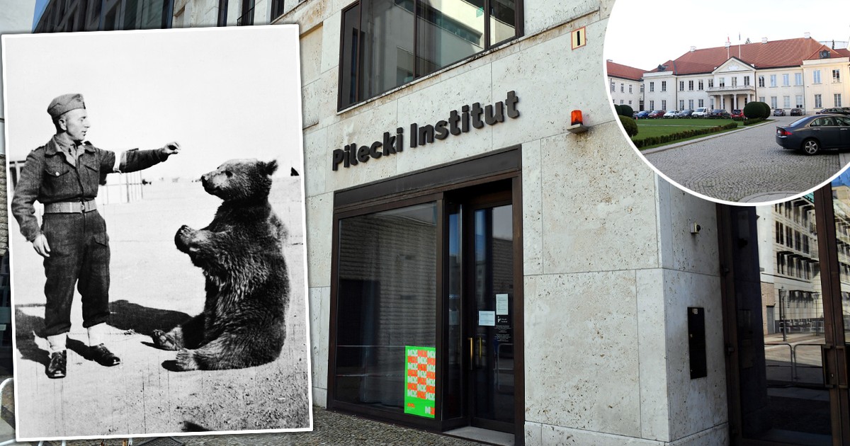 Afera z Misiem Wojtkiem w tle. Ta decyzja zaskoczyła wszystkich