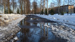 Niezwykły gość z Afryki dotrze nad Polskę. Zjawisko, jakiego dawno nie było